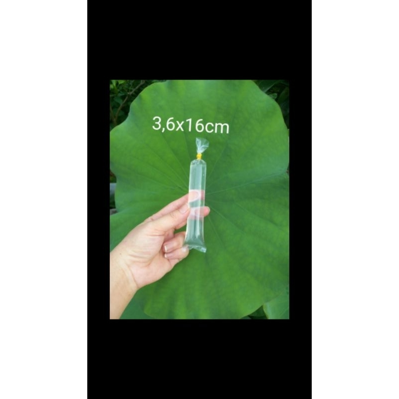 Túi làm Sữa chua 4x16/ 3,7x16 cm