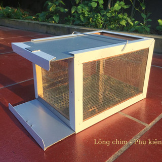 Hộp đựng dế, cào cào cho chim ăn, Hộp đựng châu chấu tiện lợi