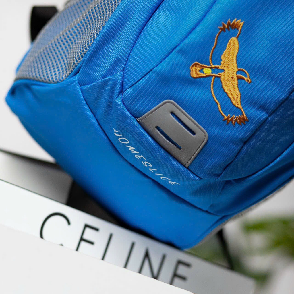 Balo Bé Trai Bé Gái Trẻ Em The North Face Xuất Chuẩn Hãng Tem Tag Đầy Đủ Dành Cho Trẻ Mẫu Giáo