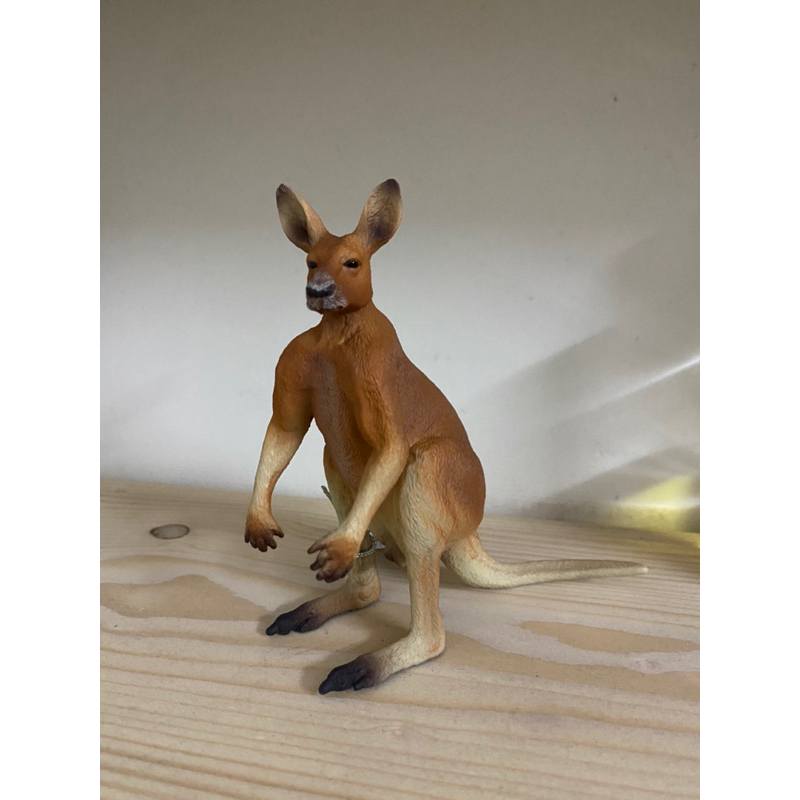 Mô hình động vật: Kangaroo Đực