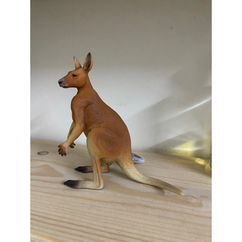 Mô hình động vật: Kangaroo Đực
