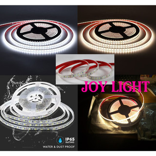 LED dây ngoài trời IP 65 24V, chịu được mưa , nắng, lắp trang trí sân vườn, cây cảnh
