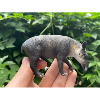 Mô hình động vật: Lợn Vòi ( Chính hãng)