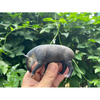 Mô hình động vật: Lợn Vòi ( Chính hãng)