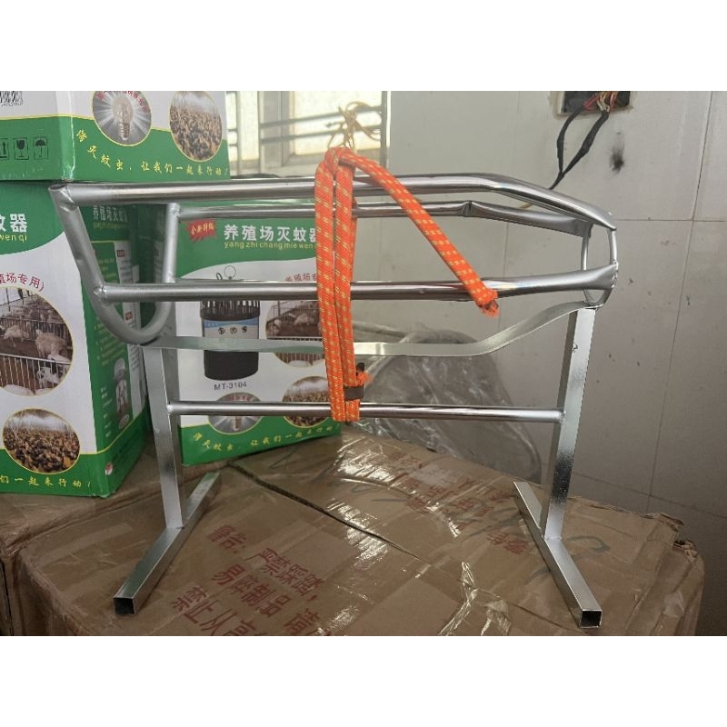 Giá thiến heo con dưới 10kg