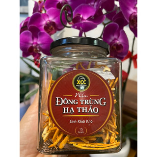 Nấm Đông Trùng Hạ thảo 15gr sấy thăng hoa