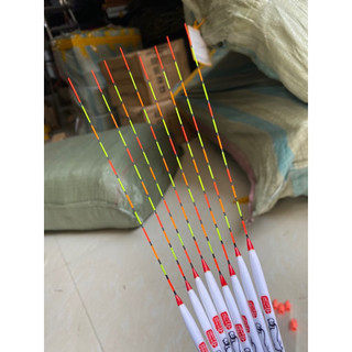 Phao lông công Đạt Ma chuyên chép diếc