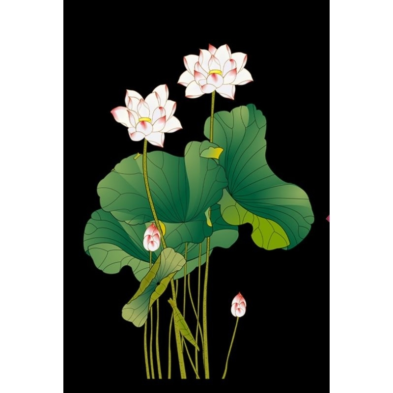 Hình ủi ép nhiệt, in áo. Mẫu Hoa sen HS1 in áo dài, váy, yếm cho mẹ và bé