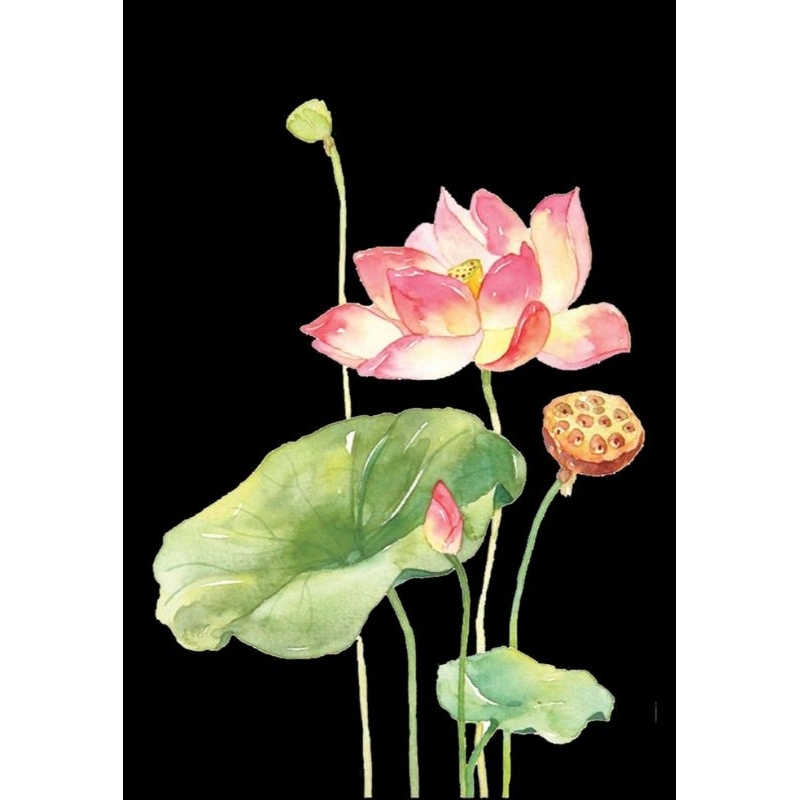 Hình ủi ép nhiệt, in áo. Mẫu Hoa sen HS1 in áo dài, váy, yếm cho mẹ và bé