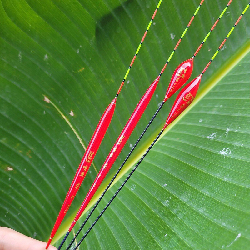 Hộp phao câu đài tiểu hồng sắc nano