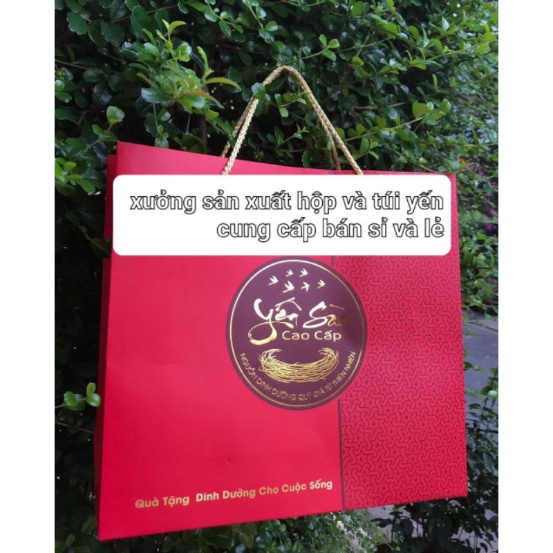 TÚI ĐỰNG YẾN SÀO 100gram