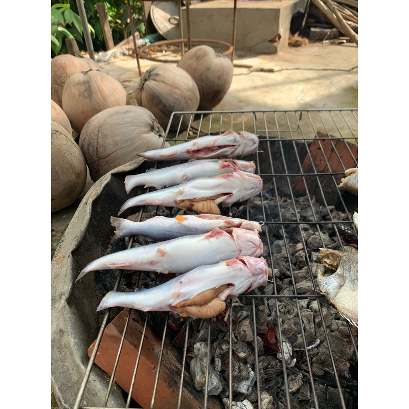 MỒI CÂU CÁ LĂNG HỦ 500gr