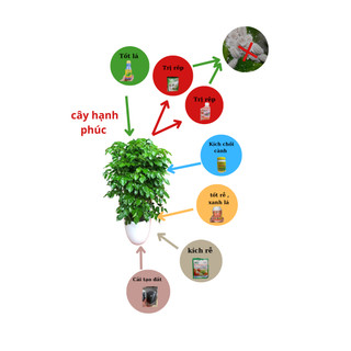 Bộ combo chăm sóc cây hạnh phúc