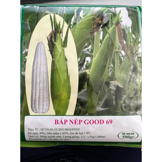 Hạt giống bắp nếp sen hồng good 69