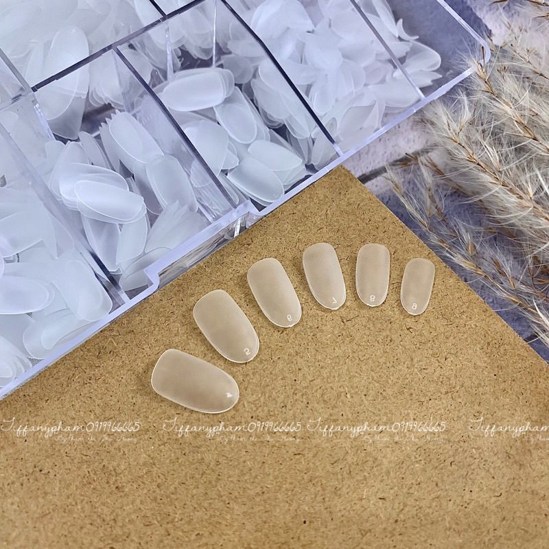 Móng hộp lẻ sx 5,6,7,8,9