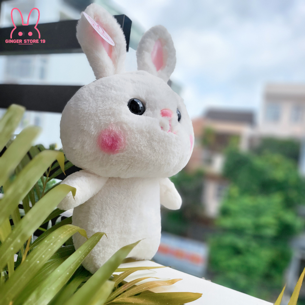 Gấu bông thỏ mặc váy, áo đáng yêu  làm quà tặng bé, quà tặng bạn gái, quà tặng sinh nhật