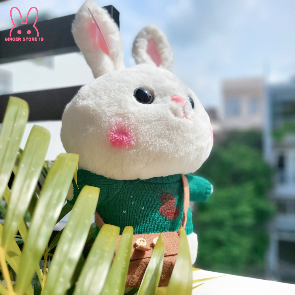 Gấu bông thỏ mặc váy, áo đáng yêu  làm quà tặng bé, quà tặng bạn gái, quà tặng sinh nhật