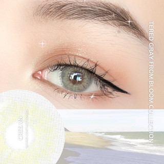 Tred gray l lens xám tây không giãn 13.6mm