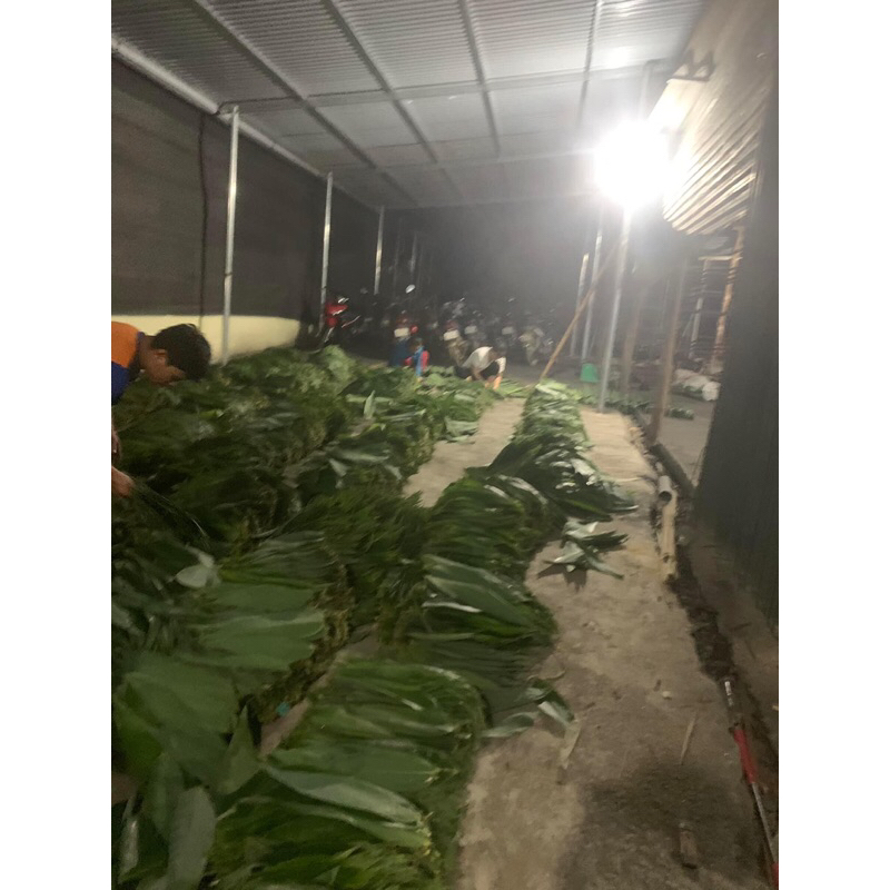 Lá tre khô zieto 10-12cm gói bánh sấp 1kg