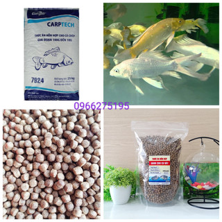 Cám cá Cargill 7924 - Thích hợp cho cá chép, cá koi, cá vàng, cá betta...làm mồi câu
