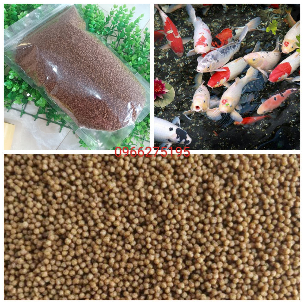 Thức ăn cho cá koi, ba đuôi, cá cảnh, cá kiểng đủ size