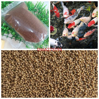 Thức ăn cho cá koi, ba đuôi, cá cảnh, cá kiểng đủ size