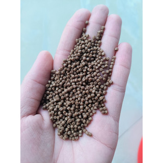 25KG Thức ăn cho cá hỗn hợp cám cá TG cám cá rô,cá chép cá trắm ba đuôi, cá cảnh