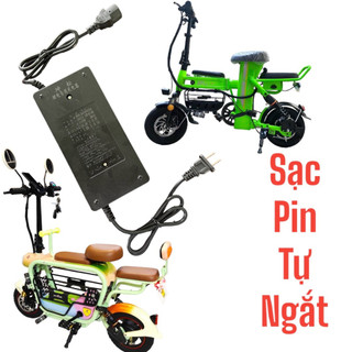 Sạc pin xe điện + sạc pin thilium - sạc xe điện 48v-2a