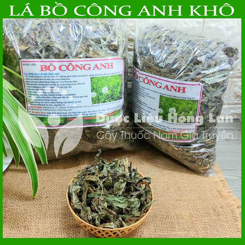 Thảo dược CÂY BỒ CÔNG ANH khô sạch đóng gói 500gram - congtyduoclieuhonglan