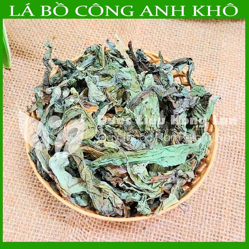 Thảo dược CÂY BỒ CÔNG ANH khô sạch đóng gói 500gram - congtyduoclieuhonglan