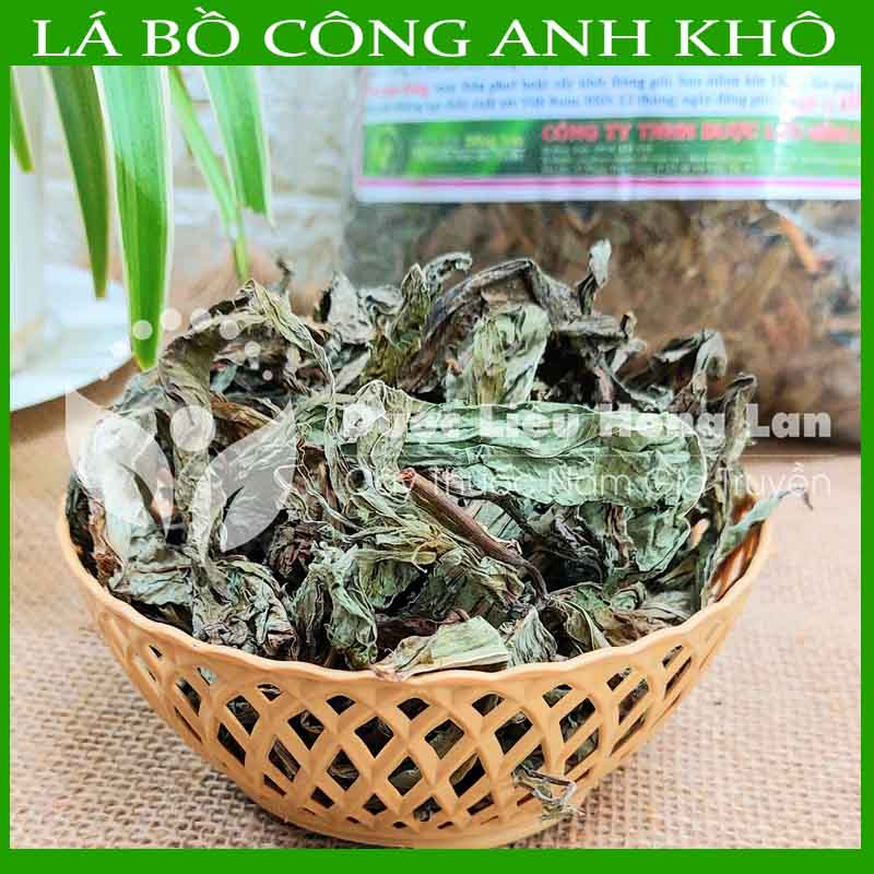 Thảo dược CÂY BỒ CÔNG ANH khô sạch đóng gói 500gram - congtyduoclieuhonglan