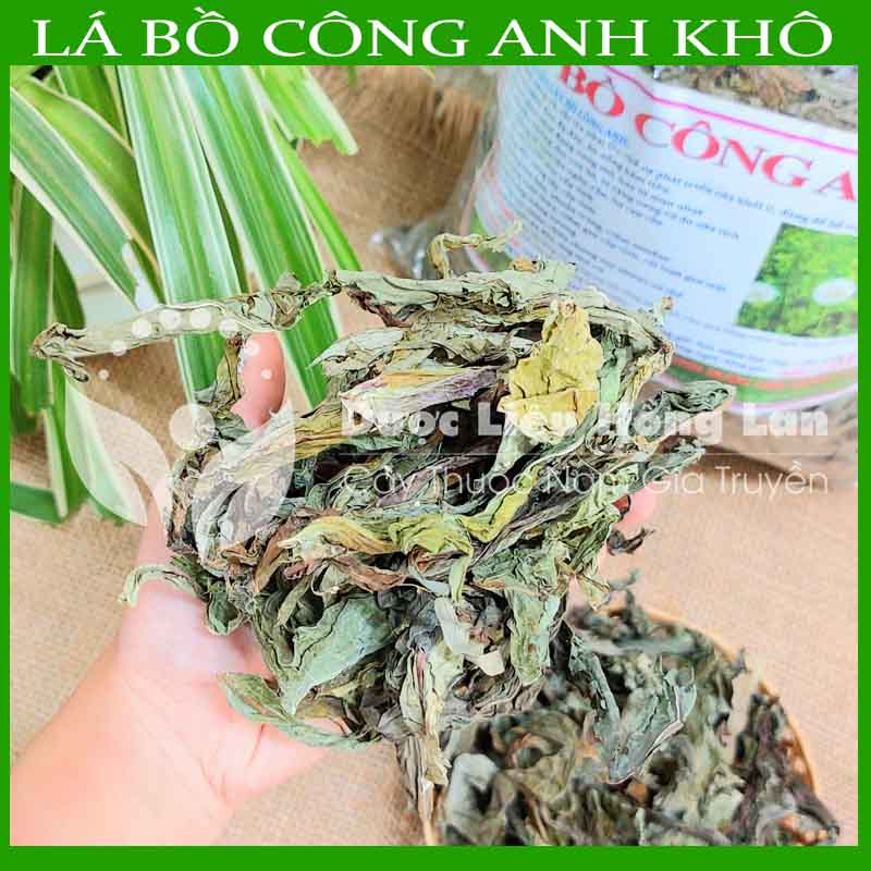 Thảo dược CÂY BỒ CÔNG ANH khô sạch đóng gói 500gram - congtyduoclieuhonglan