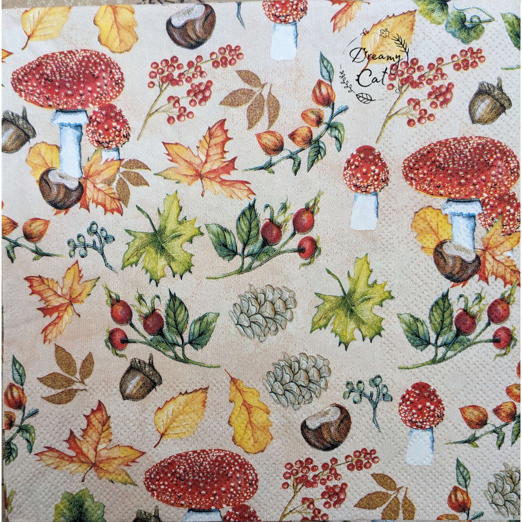 Khăn giấy in hình trang trí - Decoupage napkin - NAP-33-356