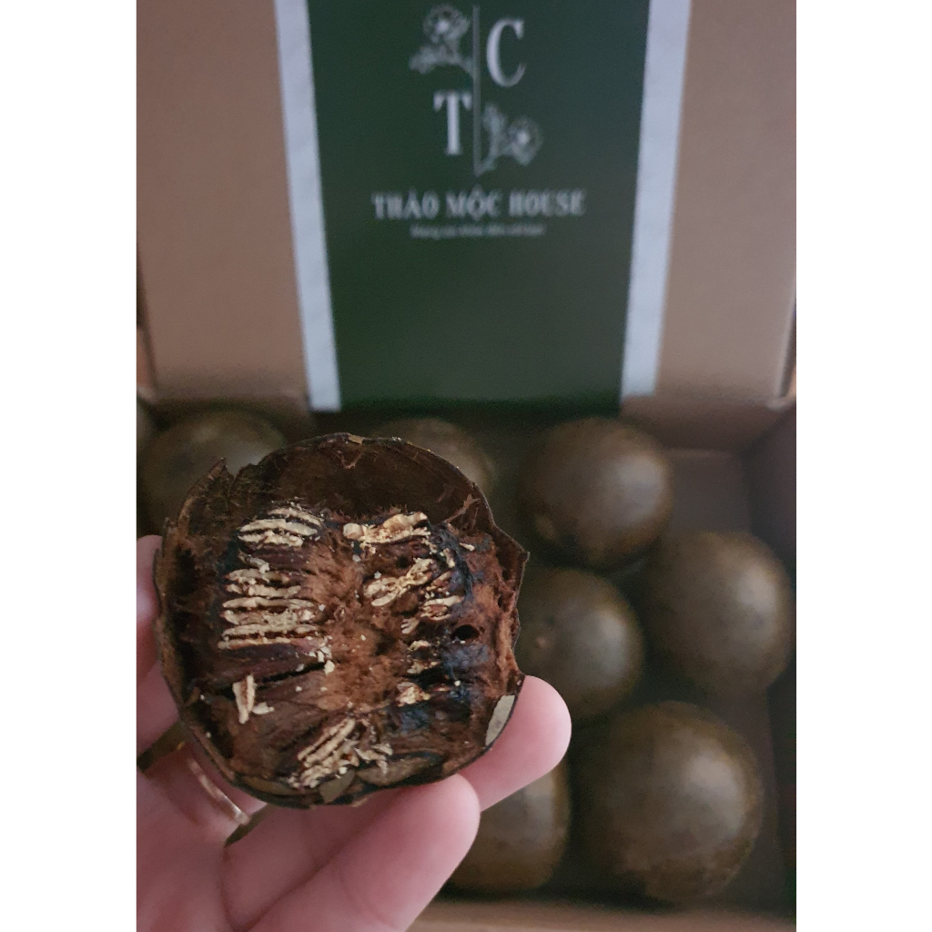 Sét 10 trái La hán quả, không hư, không vỡ, thơm ngọt