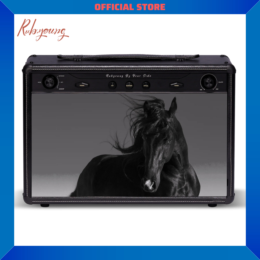 Loa Rubyoung R830| Loa Rubyoung cao cấp Công Suất 120W, Tần số rộng từ 20Hz đến 20kHz - Chính hãng, Bảo hành 12th- OBIBI