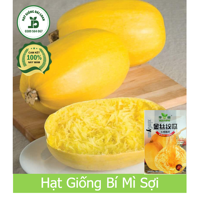 Hạt giống bí mì sợi, bí mì ý nhập khẩu nguyên gói 15 hạt