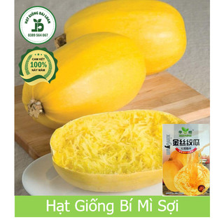 Hạt giống bí mì sợi, bí mì ý nhập khẩu nguyên gói 15 hạt