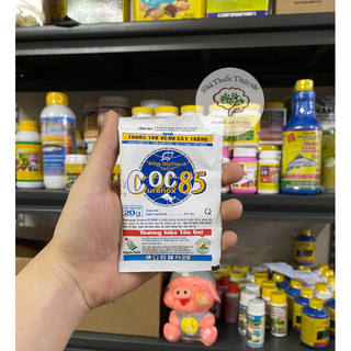 Phòng trừ nấm bệnh Coc 85 gói 20g