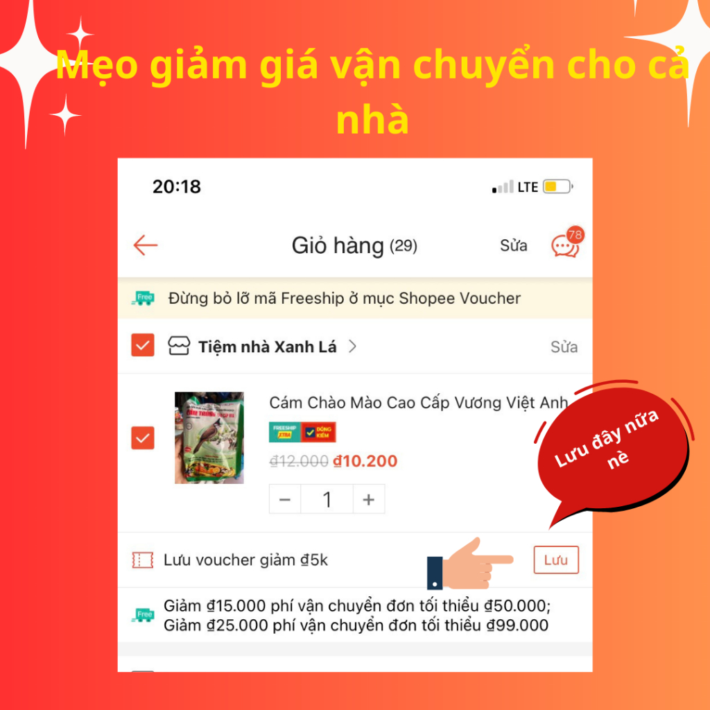 Cám Chim Chào Mào Anh Thông