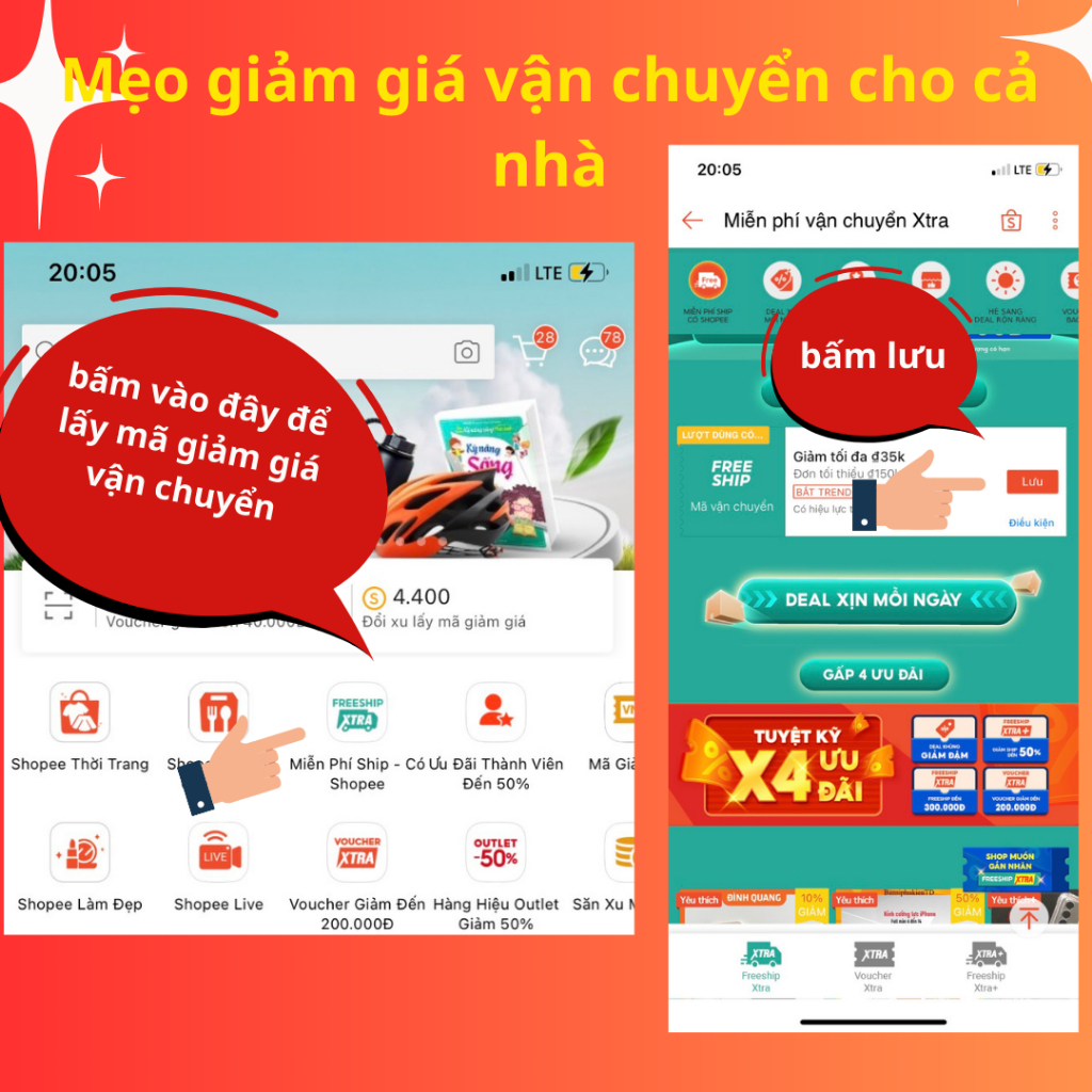 Cám Chim Chào Mào Anh Thông