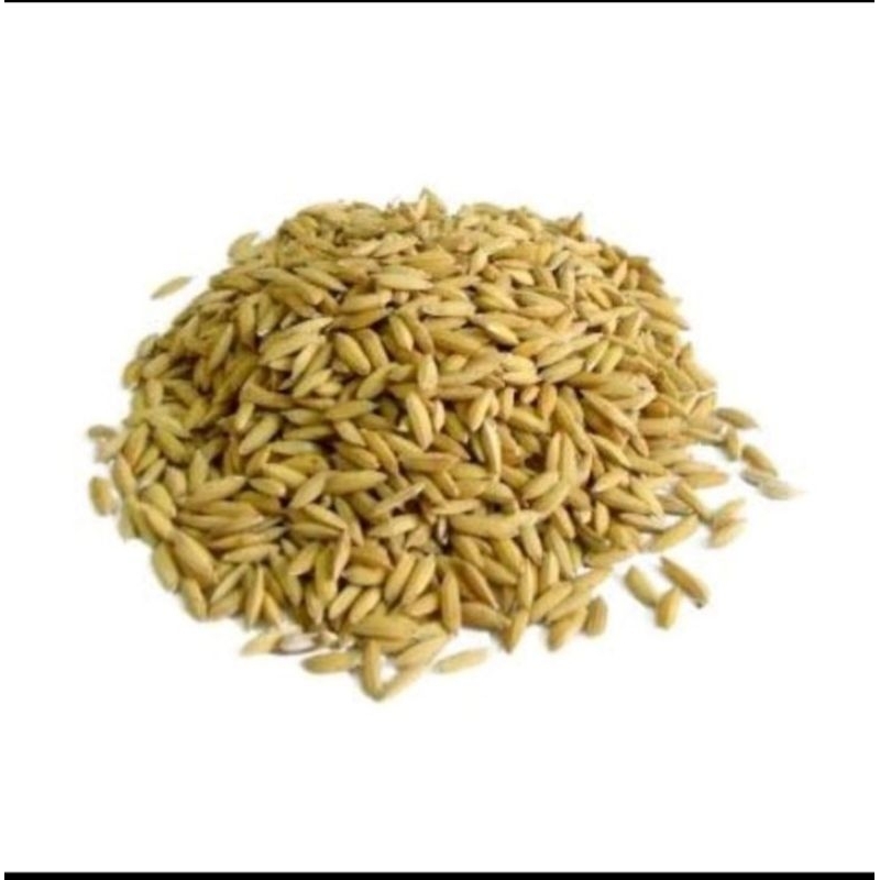 1 Ký Hạt Ngô  nguyên hạt, cám, lúa sấy khô dùng làm thức ăn cho vật nuôi, gà vịt, chim cảnh, bồ câu...