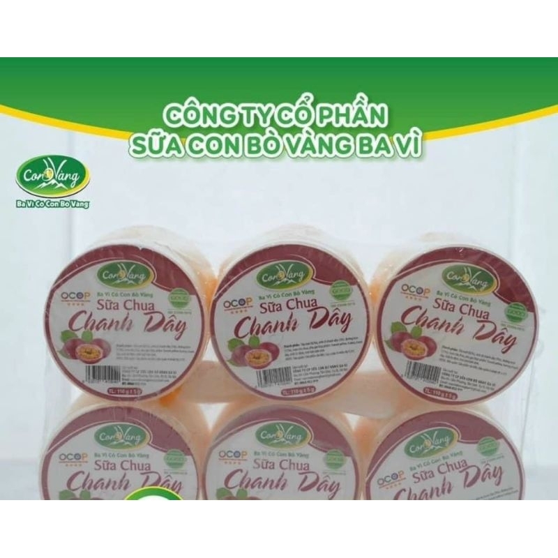 Sữa chua ba vì hiệu con bò vàng