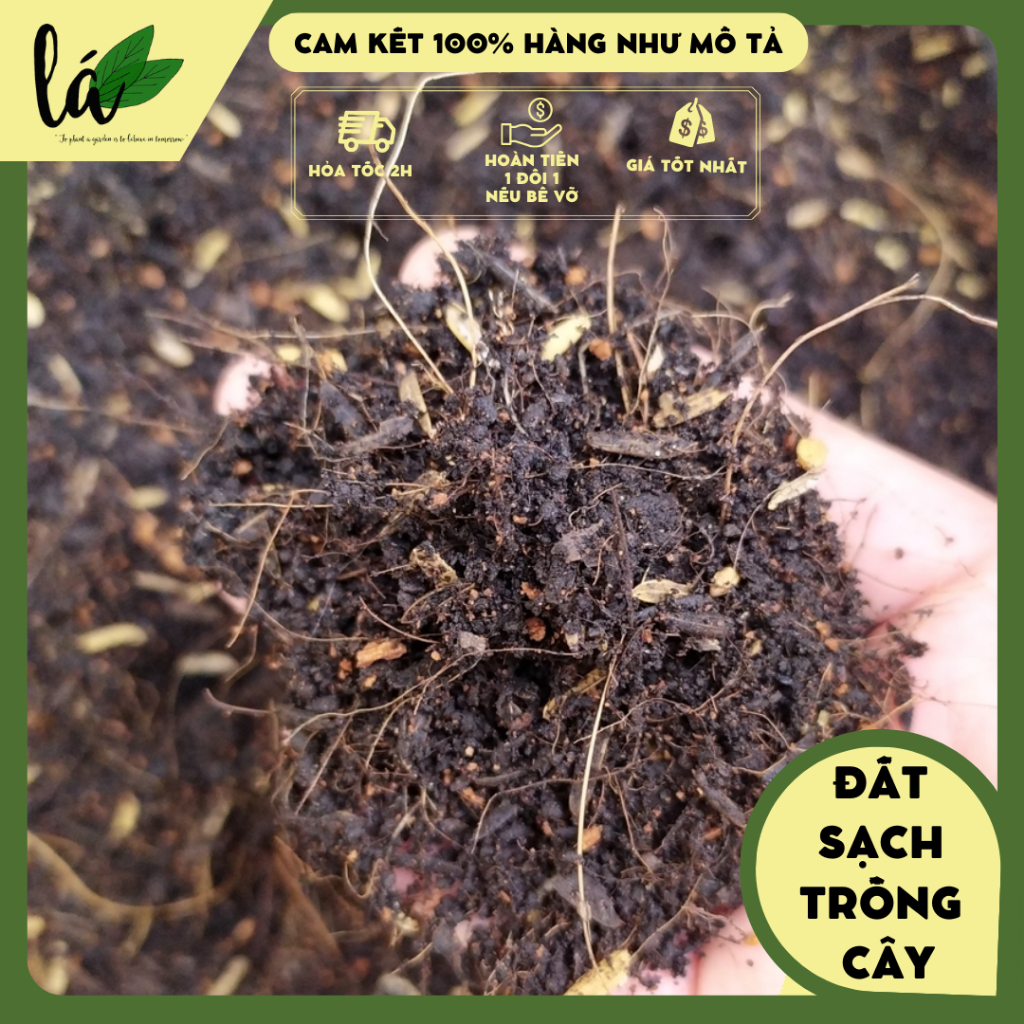 Đất sạch trồng cỏ mèo, đất dinh dưỡng trồng cây 1kg