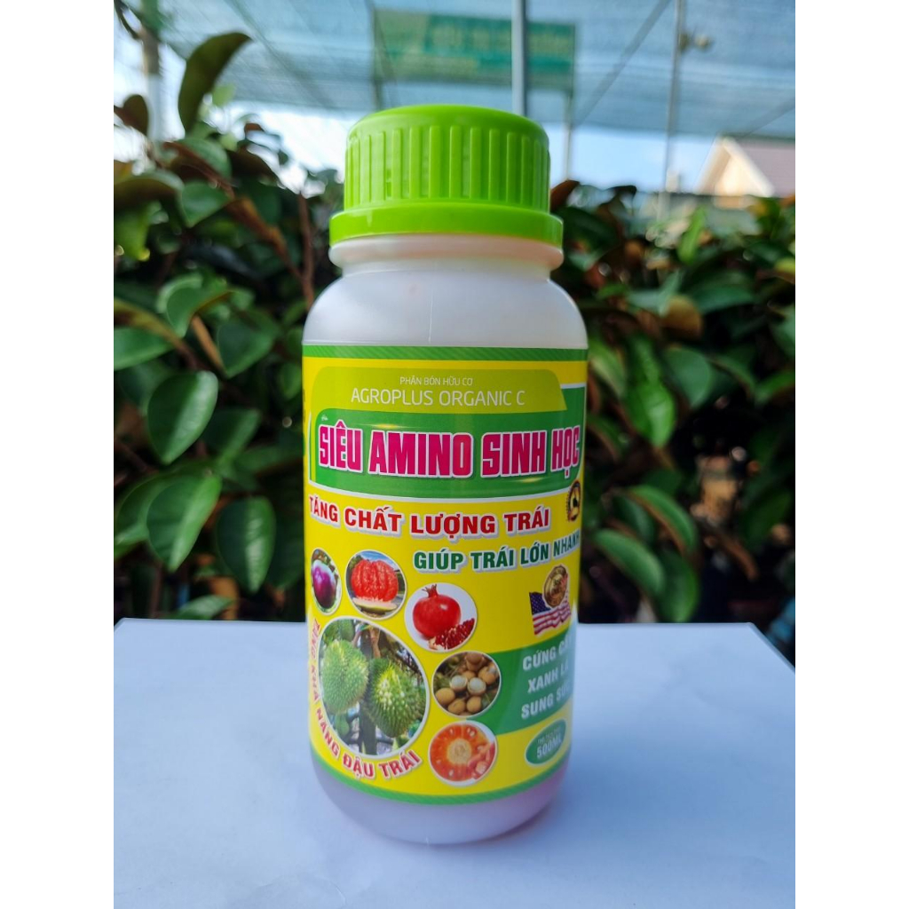 Phân bón hữu cơ Siêu Amino Sinh Học USA giúp lá xanh dày, bông mập Khỏe, lớn trái nhanh