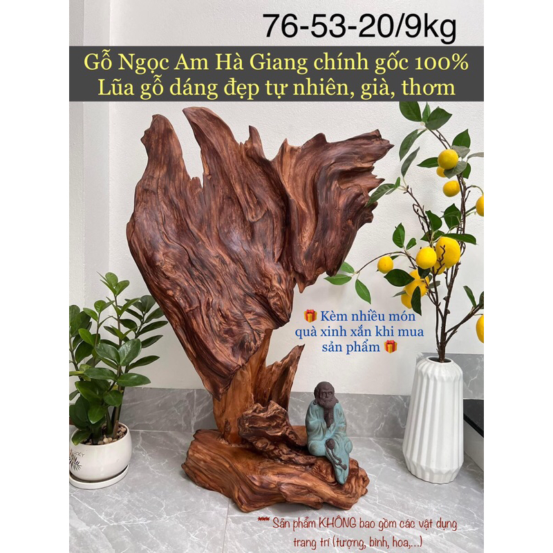 Lũa Ngọc Am Hà Giang, gỗ ngọc am đỏ phong thuỷ, lũa gỗ đẹp, xông trầm, gỗ thơm để bàn, trang trí trưng bày sang trọng