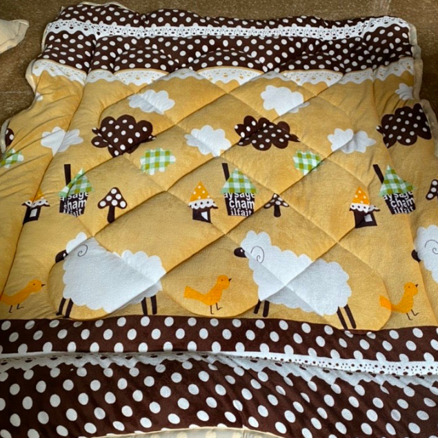 Thanh lý thảm nỉ nhung trải giường màu 1m2x1m9 màu ngẫu nhiên