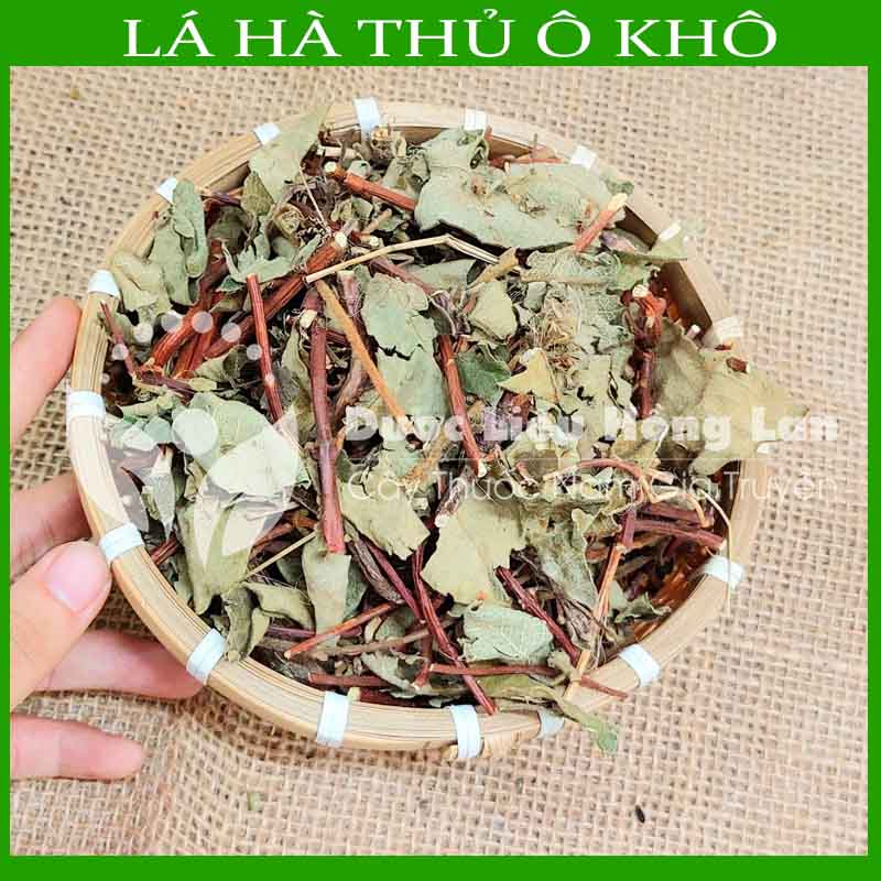 ✅ Lá Cây Hà Thủ Ô Đỏ khô sạch  - Hàng chính hãng Công ty