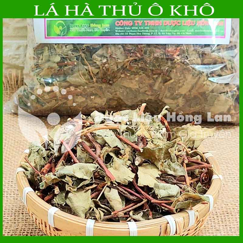 ✅ Lá Cây Hà Thủ Ô Đỏ khô sạch  - Hàng chính hãng Công ty