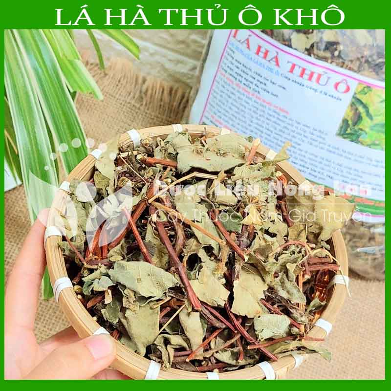 ✅ Lá Cây Hà Thủ Ô Đỏ khô sạch  - Hàng chính hãng Công ty