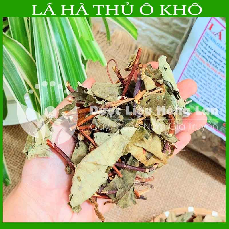 ✅ Lá Cây Hà Thủ Ô Đỏ khô sạch  - Hàng chính hãng Công ty